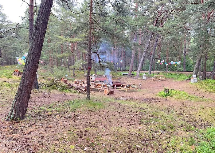 Your Camp Kormoran Campingplatz Hel